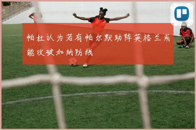 帕杜认为若有帕尔默助阵英格兰或能攻破加纳防线